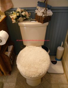dual flush toilet, bathroom remodel