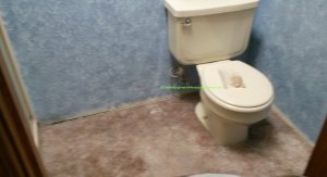 bathroom, remodel, old toilet, sponging