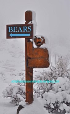 ! Animal Ark bear sign revised